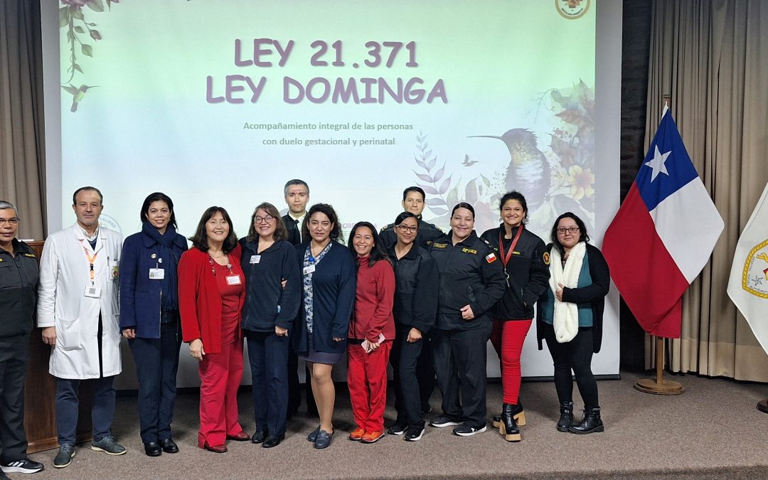 EXPOSICIÓN SOBRE LEY DOMINGA N°21.371